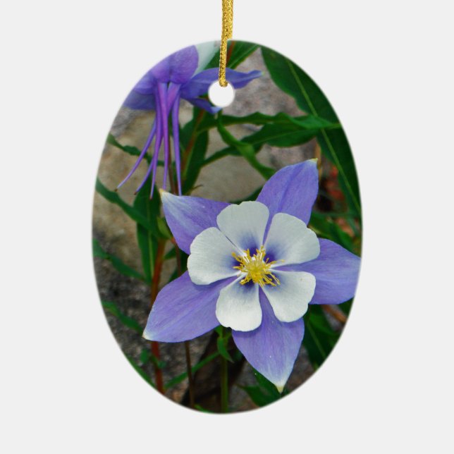 Blue columbine ceramic ornament (Front)