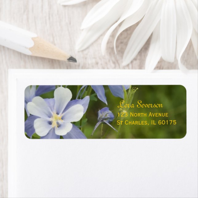 Blue Columbine Flowers Adresse de retour (En situation)