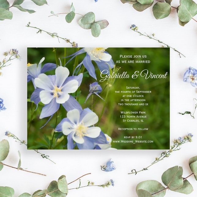 Blue Columbine Flowers Wedding Invitation (Creator Uploaded)