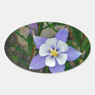 Blue columbine oval sticker