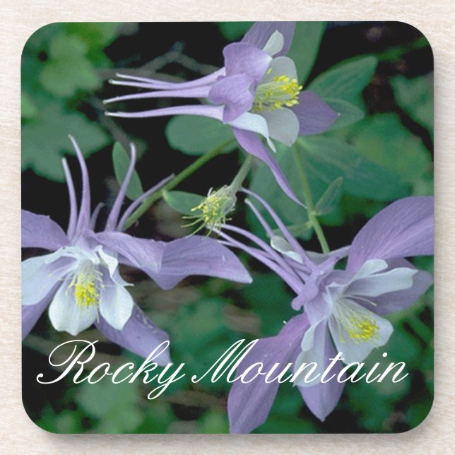 Blue Columbine, Rocky Mountain National Park Coaster (Front)