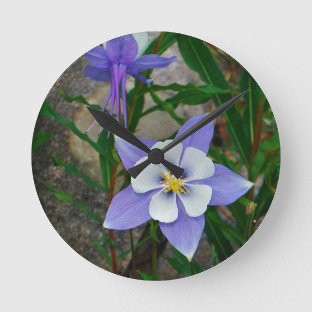 Blue columbine round clock (Front)