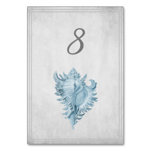Blue Conch Shell Table Number Card