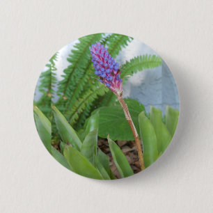 Blue Cone Bromeliad flower 2 Inch Round Button