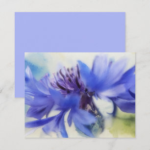 Blue Cornflower Bachelors Button Note Card Set