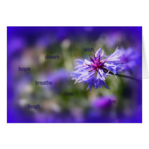 Blue cornflower Card