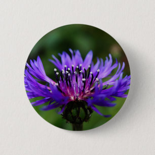 Blue Cornflower Flower Blossoms Peace Love Destiny 2 Inch Round Button