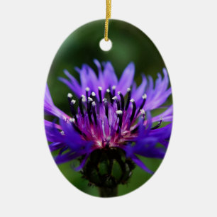 Blue Cornflower Flower Blossoms Peace Love Destiny Ceramic Ornament