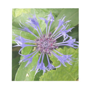 Blue Cornflower Notepad