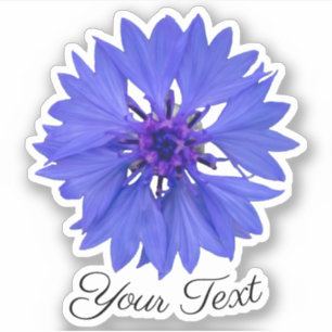 Blue cornflower petals and violet stamps in spring
