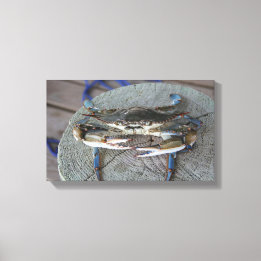 Blue Crab Chesapeake Bay Canvas Art