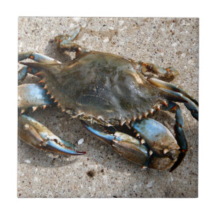 Blue Crab Crawling Tile