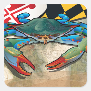 Blue Crab of Maryland Square Sticker