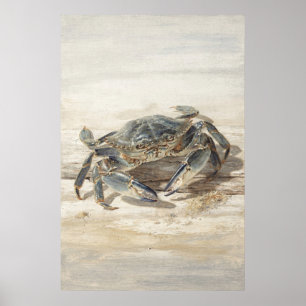 Blue Crab on a Sandy Shore Poster