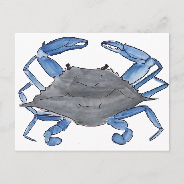Blue Crab Postcard (Front)