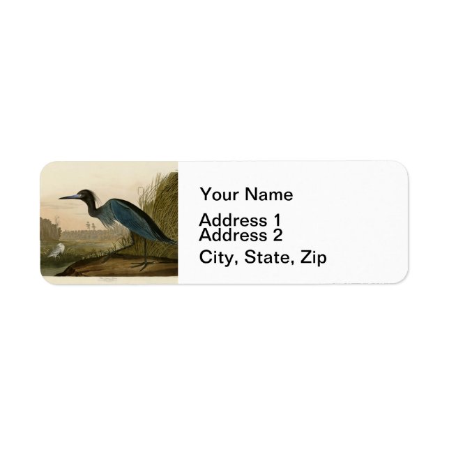 Blue Crane Heron Audubon Painting (Front)