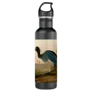Blue Crane Heron Audubon Painting 710 Ml Water Bottle