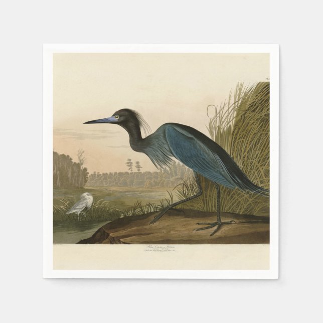 Blue Crane Heron Audubon Painting Napkin (Front)