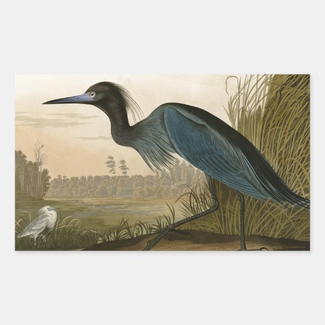Blue Crane Heron Audubon Painting Sticker (Front)