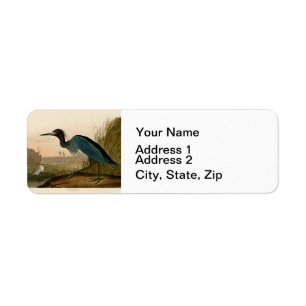 Blue Crane Heron Audubon Print Coastal Art