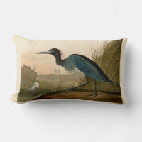 Blue Crane Heron Audubon Print Coastal Art