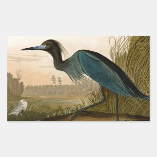Blue Crane Heron Audubon Print Coastal Art Sticker