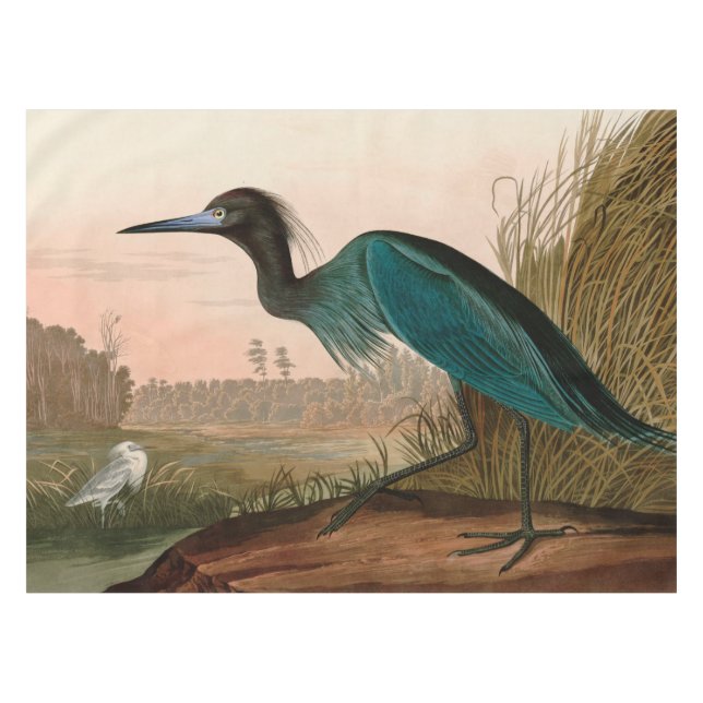 Blue Crane or Heron Birds of America Audubon Print Tablecloth (Front (Horizontal))
