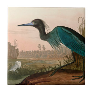 Blue Crane or Heron Birds of America Audubon Print Tile