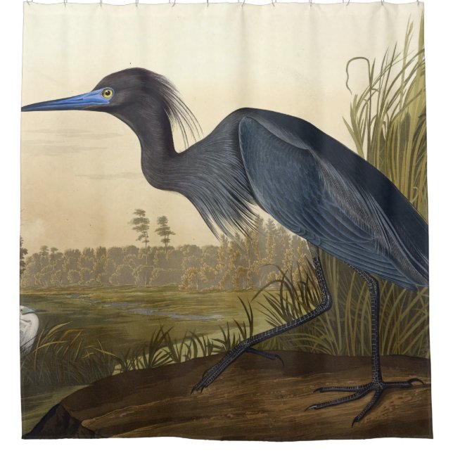 Blue Crane Or Heron Birds Of America John James (Front)