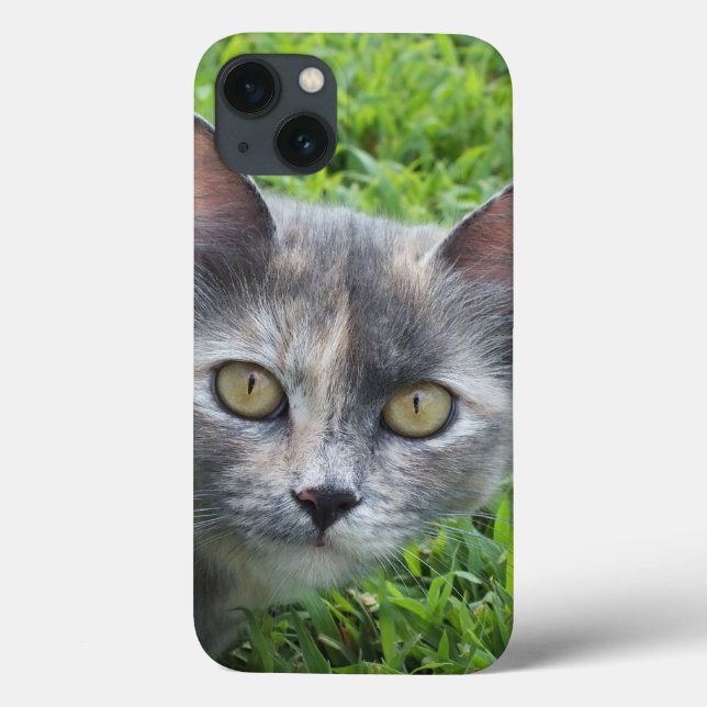 Blue Cream -Tortie Kitty iPad Case (Back)