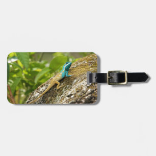 Blue-Crested Lizard Calotes Mystaceus Luggage Tag