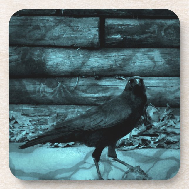 Blue Crow Shadows Coaster (Front)