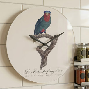 Blue-Crowned Lorikeet, Vini Australis Large Clock