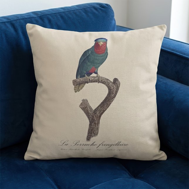 Blue-Crowned Lorikeet, Vini Australis Throw Pillow (Blue-Crowned Lorikeet, Vini Australis. Throw Pillow)