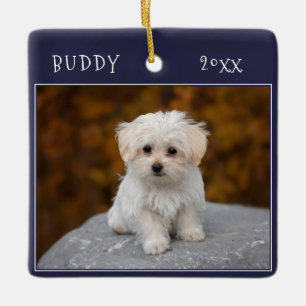 Blue Cute Dog Pet 2 Photos Christmas Ceramic Ornament