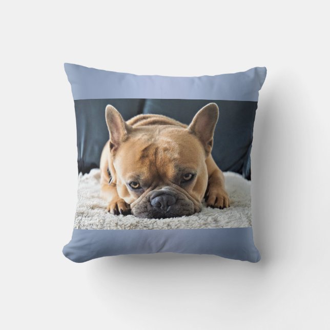 Blue Cute Français Bulldog Cushion coussin (Recto)