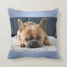 Blue Cute French Bulldog Cushion pillow
