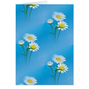 blue daisy