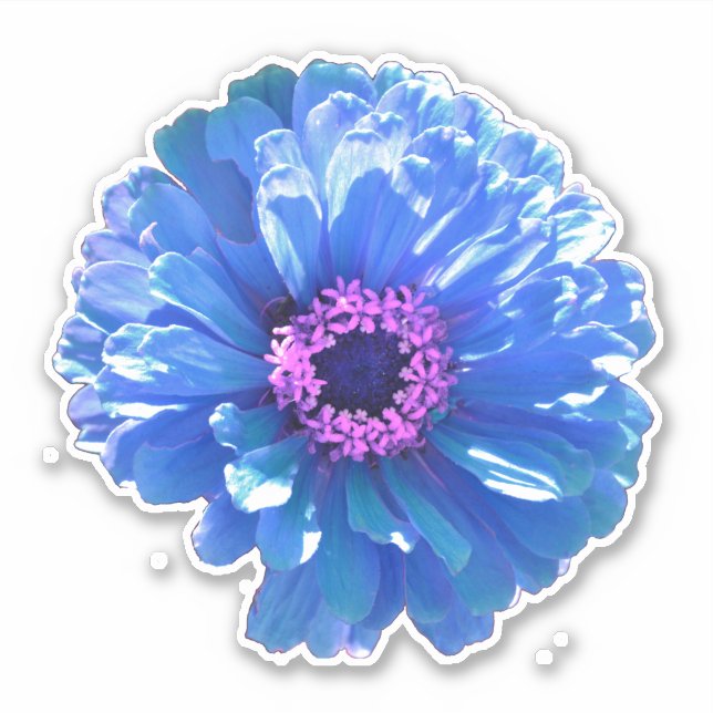 Blue daisy blue floral photo (Front)