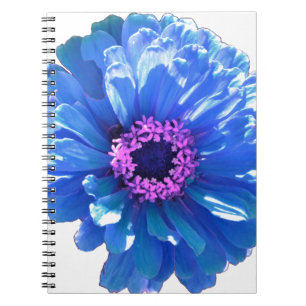 Blue daisy blue floral photo notebook
