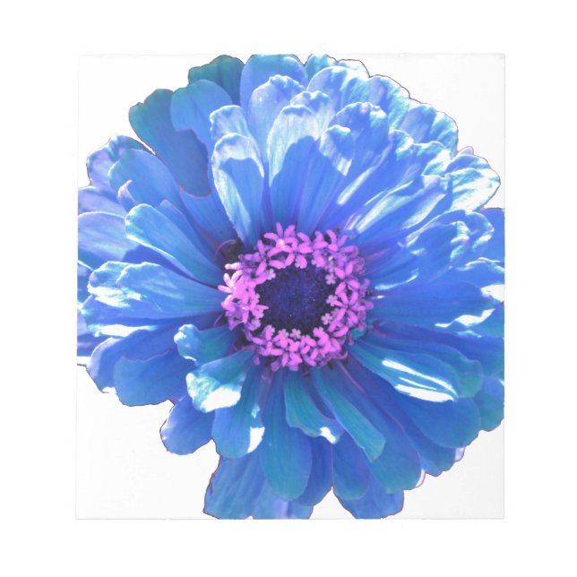 Blue daisy blue floral photo notepad (Front)