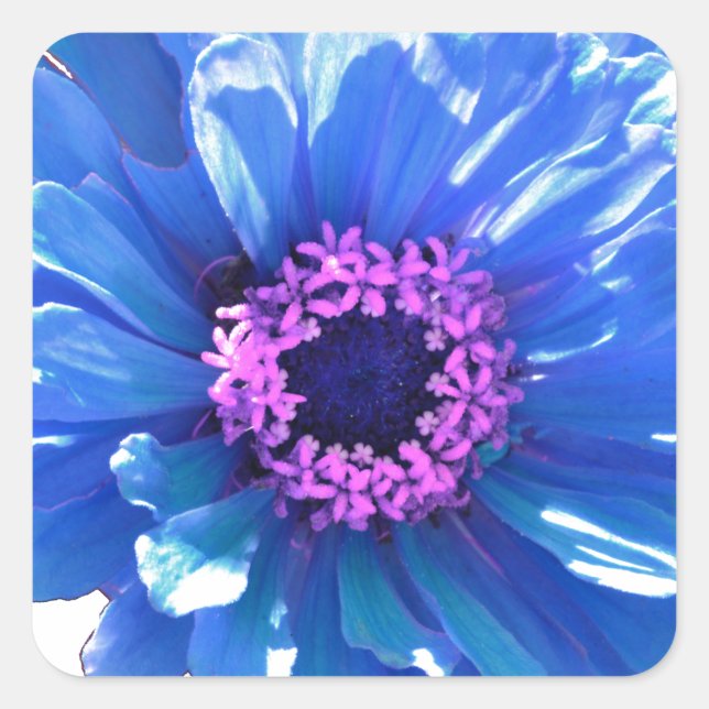 Blue daisy blue floral photo square sticker (Front)