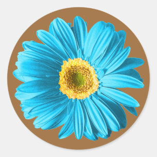 Blue Daisy Flower Classic Round Sticker
