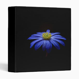 Blue Daisy Gerbera Flower on a Black background Binder