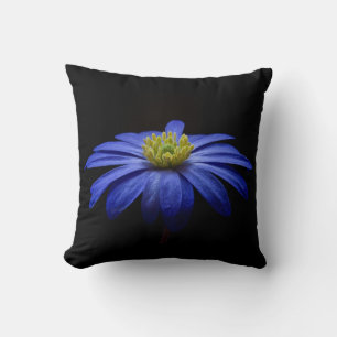 Blue Daisy Gerbera Flower on a Black background Throw Pillow