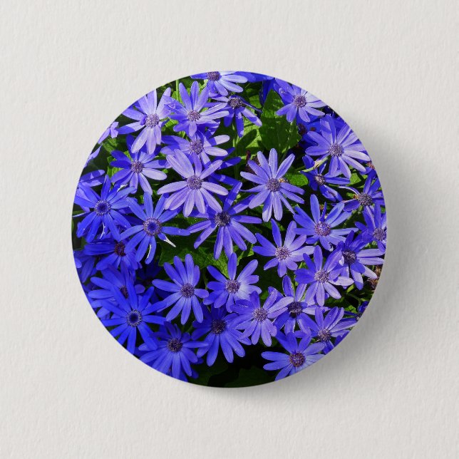 Blue Daisy-like Flowers Nature Photography 2 Inch Round Button (Front)