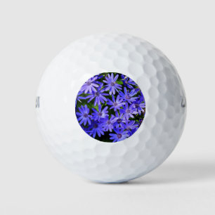 Blue Daisy-like Flowers Nature Photography Golf Balls