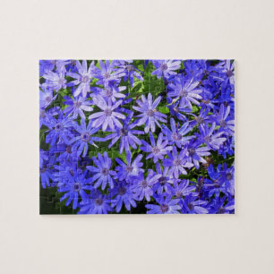 Blue Daisy-like Flowers Nature Photography Jigsaw Puzzle