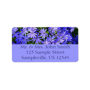 Blue Daisy-like Flowers Nature Photography Label