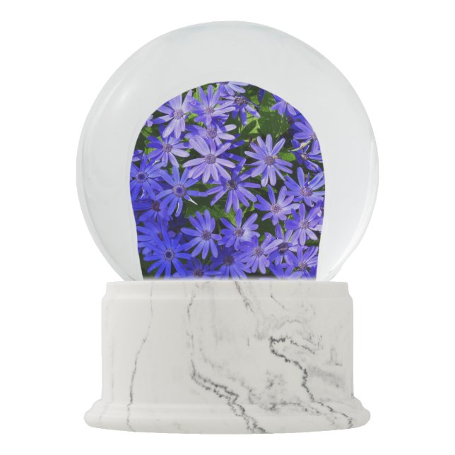 Blue Daisy-like Flowers Nature Photography Snow Globe (Front)